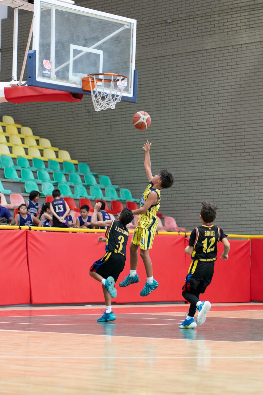 COPA DOLPHINS 2026 ENCENDIÓ LA FIESTA DEL BALONCESTO FORMATIVO EN CARTAGENA